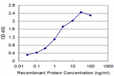 SETDB1 Antibody in ELISA (ELISA)