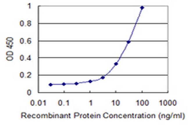 ARNT2 Antibody in ELISA (ELISA)