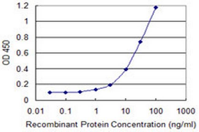 ARNT2 Antibody in ELISA (ELISA)