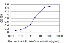 HELZ Antibody in ELISA (ELISA)