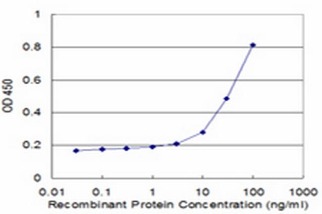 REC8L1 Antibody in ELISA (ELISA)