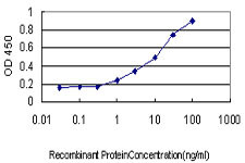 AKT3 Antibody in ELISA (ELISA)