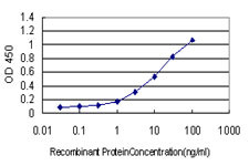 NR2E3 Antibody in ELISA (ELISA)