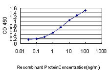 PDCD6IP Antibody in ELISA (ELISA)