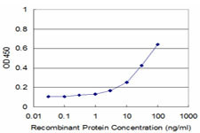 TSPAN1 Antibody in ELISA (ELISA)