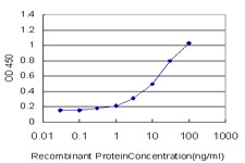 EBI3 Antibody in ELISA (ELISA)