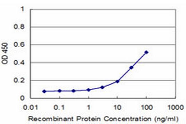 TOPORS Antibody in ELISA (ELISA)