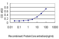 ISGF3G Antibody in ELISA (ELISA)