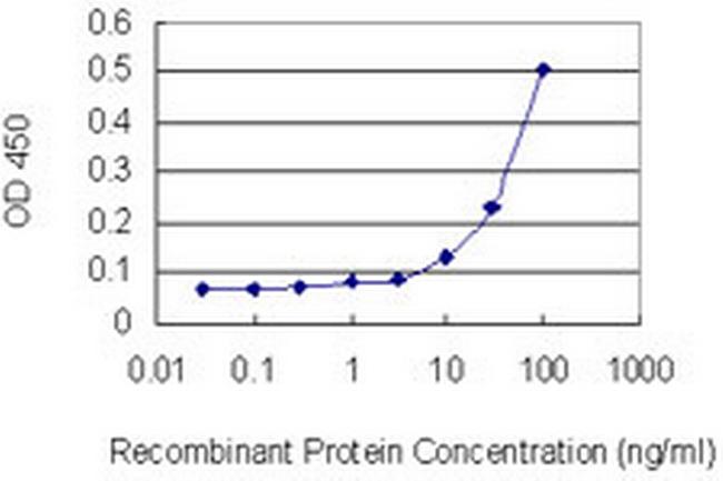 OLFM1 Antibody in ELISA (ELISA)