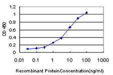 GPNMB Antibody in ELISA (ELISA)