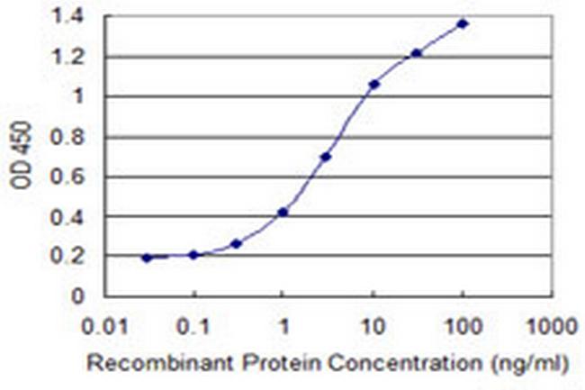 CLEC10A Antibody in ELISA (ELISA)