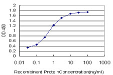 BATF Antibody in ELISA (ELISA)