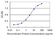 NPC2 Antibody in ELISA (ELISA)