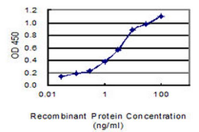 SPAG5 Antibody in ELISA (ELISA)