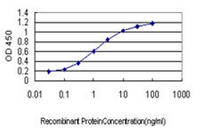 KLF1 Antibody in ELISA (ELISA)