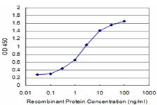 KLF1 Antibody in ELISA (ELISA)