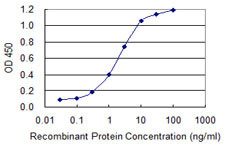 TBR1 Antibody in ELISA (ELISA)