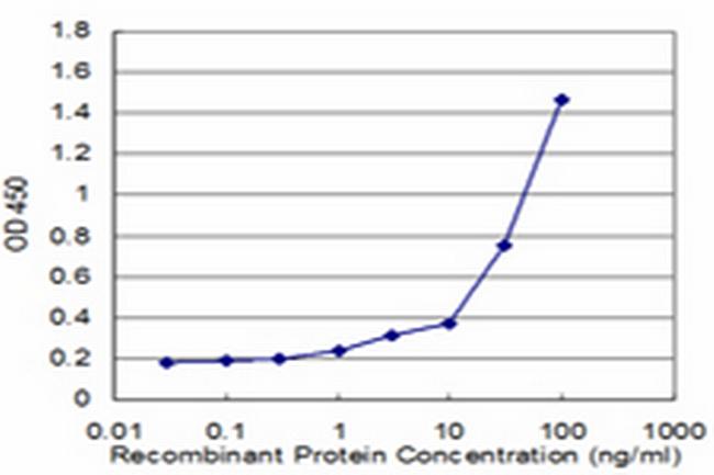 POLQ Antibody in ELISA (ELISA)