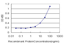 TRAF3IP2 Antibody in ELISA (ELISA)