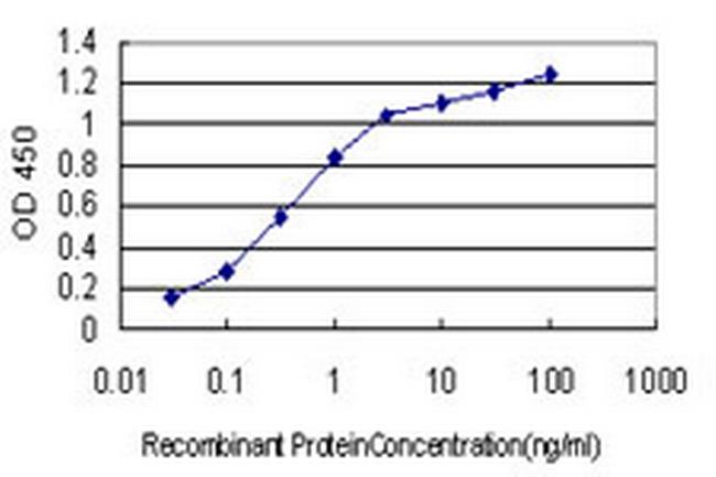 CYP46A1 Antibody in ELISA (ELISA)