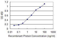 CYP46A1 Antibody in ELISA (ELISA)