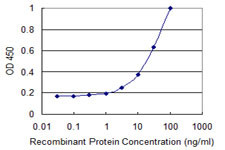 PLEKHC1 Antibody in ELISA (ELISA)