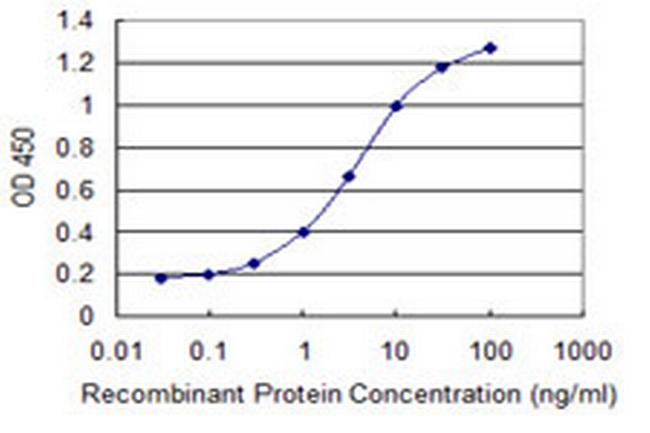 IL24 Antibody in ELISA (ELISA)