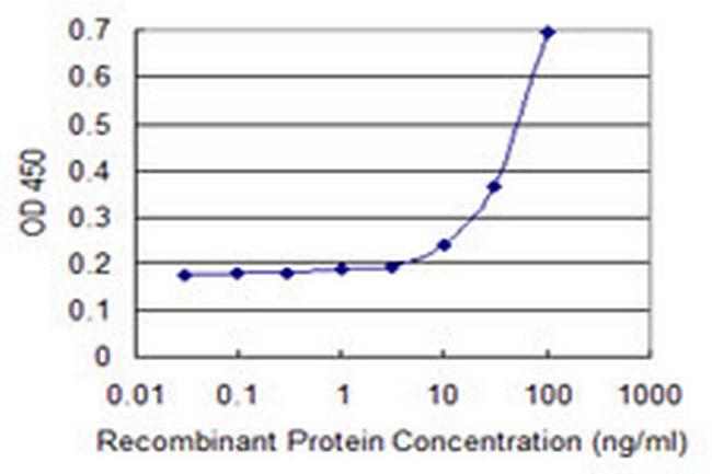 B4GAT1 Antibody in ELISA (ELISA)