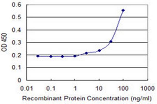 UBE2C Antibody in ELISA (ELISA)