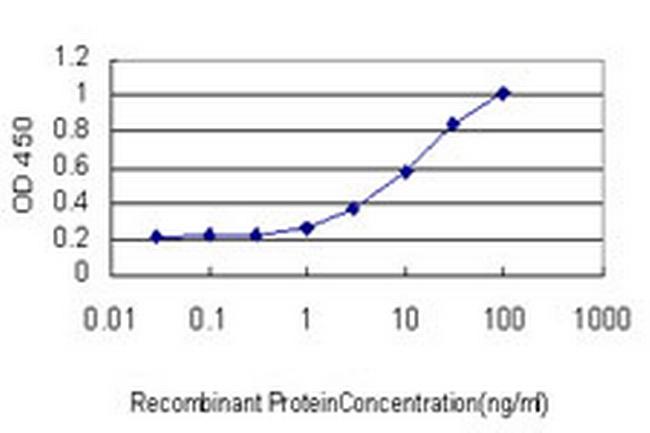 IL1RAPL1 Antibody in ELISA (ELISA)