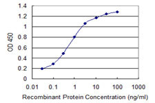 SUPT16H Antibody in ELISA (ELISA)