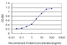 AKAP13 Antibody in ELISA (ELISA)