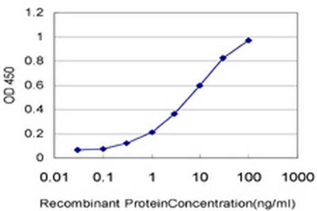 PADI2 Antibody in ELISA (ELISA)