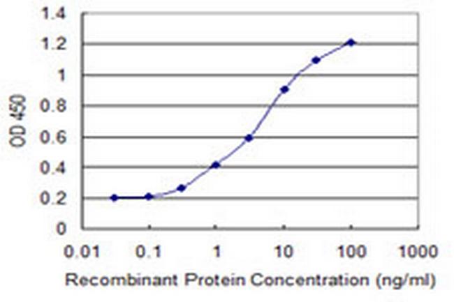 KLHL2 Antibody in ELISA (ELISA)