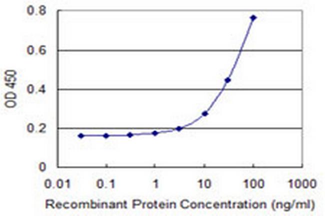 PHB2 Antibody in ELISA (ELISA)