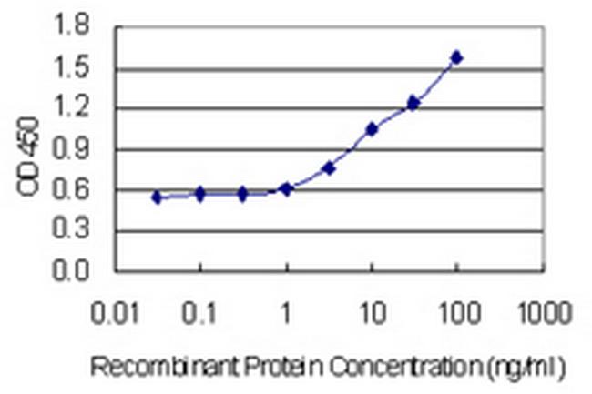 GABARAP Antibody in ELISA (ELISA)