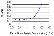 ATF6 Antibody in ELISA (ELISA)