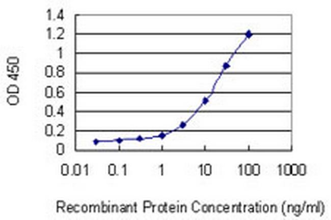 WDFY3 Antibody in ELISA (ELISA)