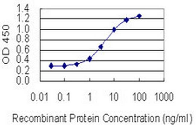 KIF21B Antibody in ELISA (ELISA)