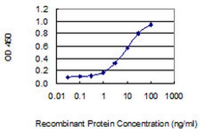 CLASP2 Antibody in ELISA (ELISA)