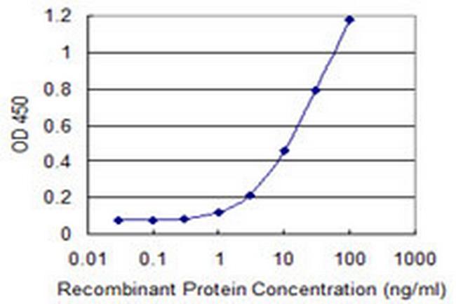 RGL1 Antibody in ELISA (ELISA)