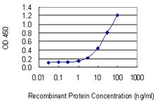 NEDD4L Antibody in ELISA (ELISA)