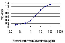 PUM2 Antibody in ELISA (ELISA)