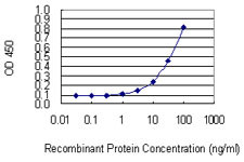 NCSTN Antibody in ELISA (ELISA)