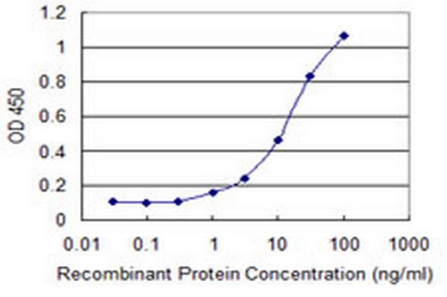 SLC7A8 Antibody in ELISA (ELISA)