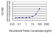 ABCA6 Antibody in ELISA (ELISA)