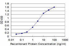 HEY1 Antibody in ELISA (ELISA)