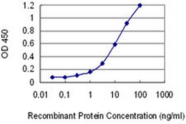 HAAO Antibody in ELISA (ELISA)