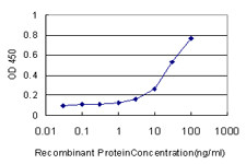 MACF1 Antibody in ELISA (ELISA)