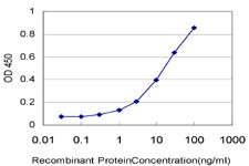 NUP62 Antibody in ELISA (ELISA)